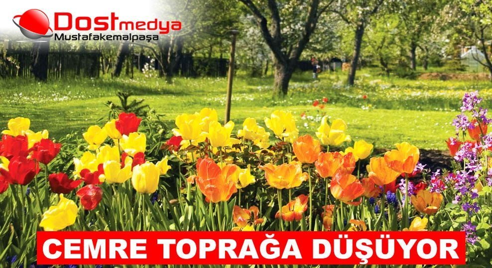 Bugün 3. Cemre toprağa düşüyor.