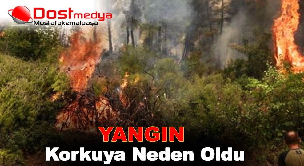 Yangın korkuya neden oldu