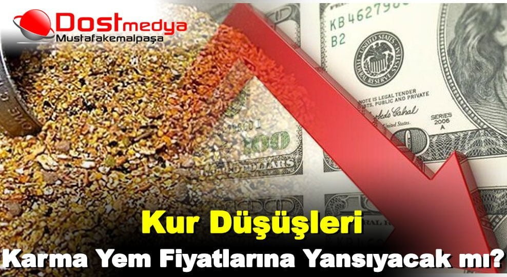 Kur düşüşleri karma yem fiyatlarına yansıyacak mı?