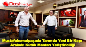 Mustafakemalpaşada Tarımda Yeni Bir Kapı Araladı: Kütük Mantarı Yetiştiriciliği