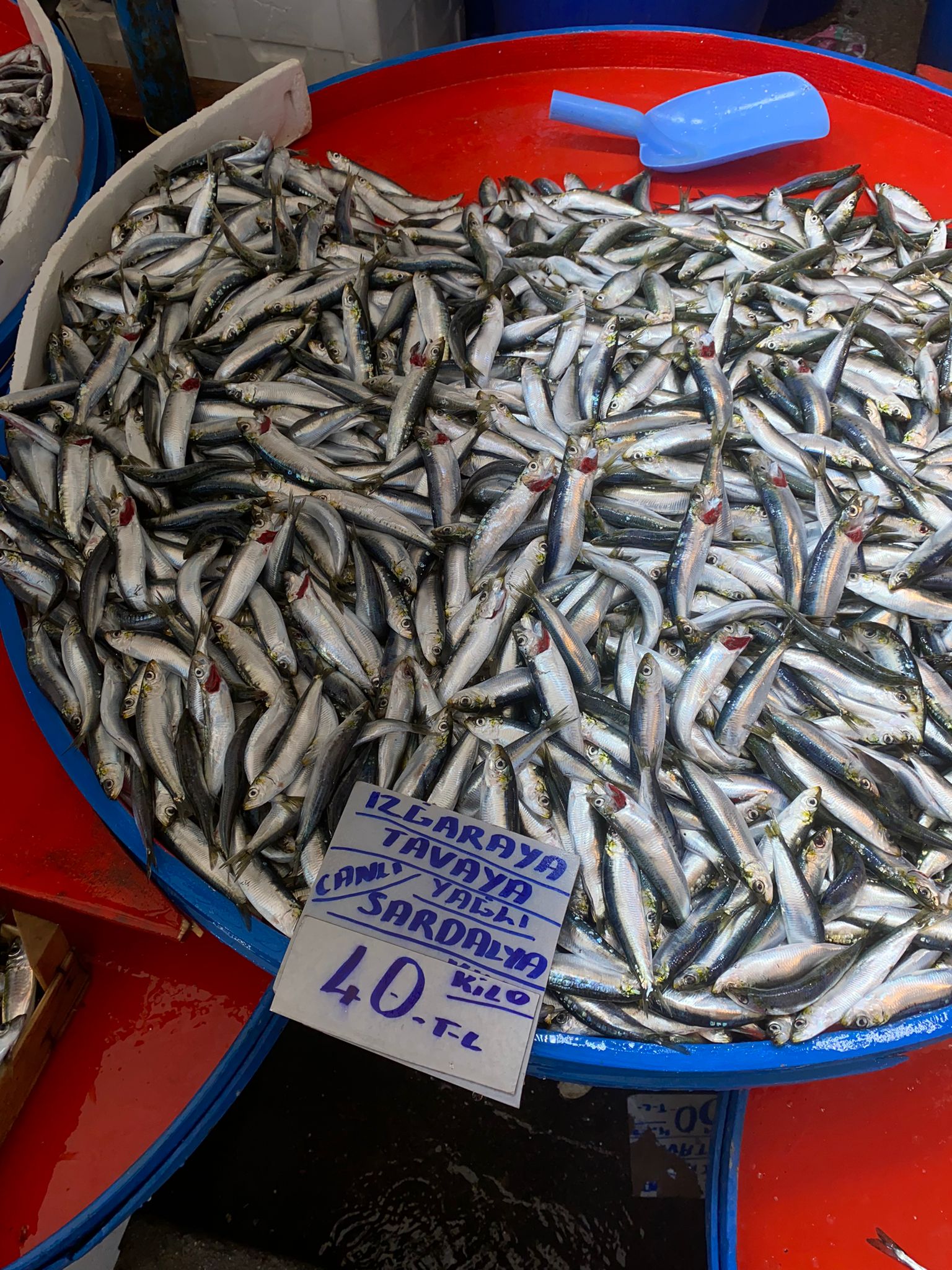 Mustafakemalpaşa Perşembe Pazarı Balık Fiyatları