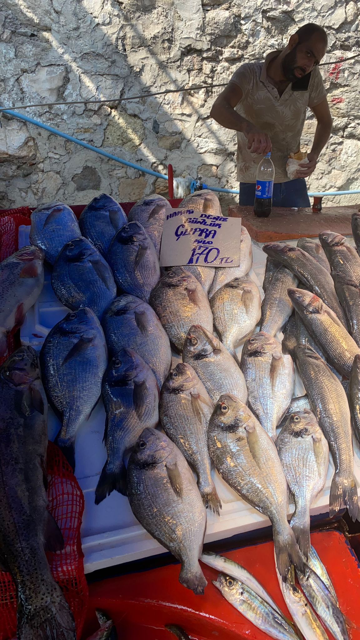 Mustafakemalpaşa Perşembe Pazarı Balık Fiyatları