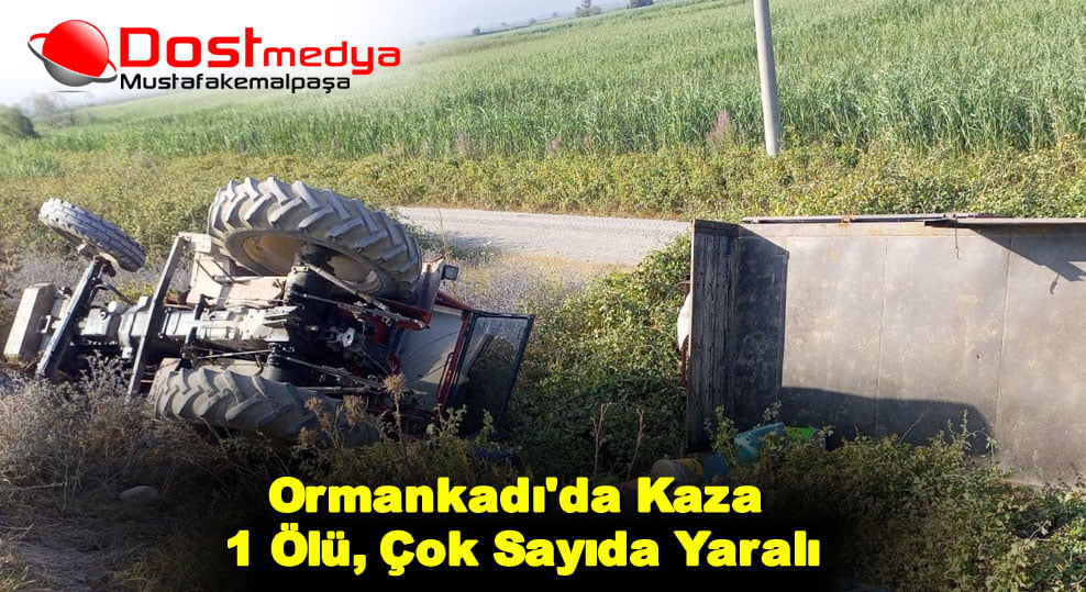 Ormankadı’da Kaza 1 Ölü, Çok Sayıda Yaralı