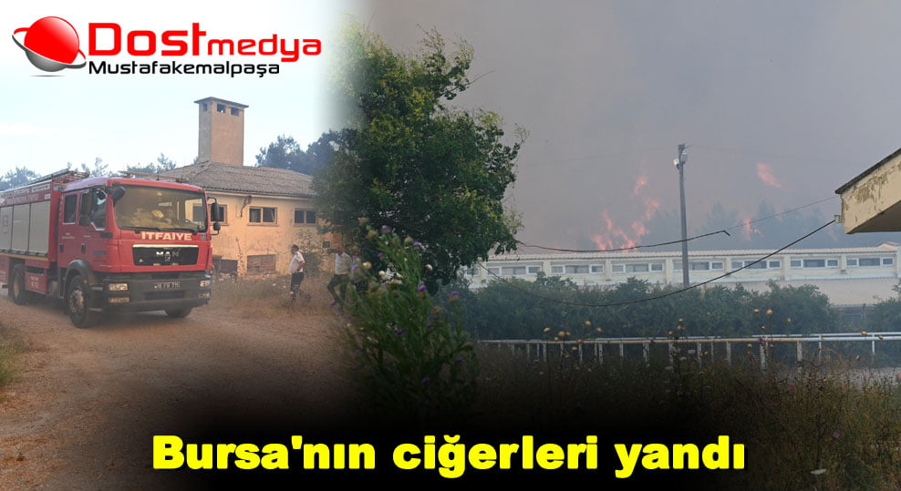 Bursa’nın ciğerleri yandı