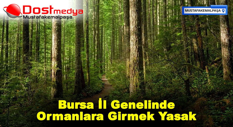 Bursa İl Genelinde Ormanlara Girmek Yasak